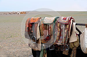 Mongolia Ã¢â¬â nomad horse saddles photo